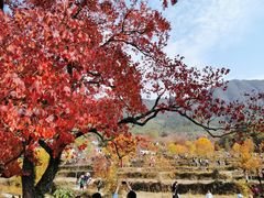 -塔川景区