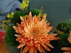 -南堂馆·新川菜(春熙路店)