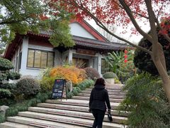 -雷峰塔·藕香居餐厅