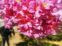 -华南国家植物园-售票处