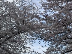 -杭州少年儿童公园