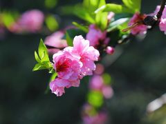 -乌山风景区