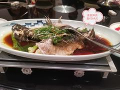 -新南华大酒店(长寿店)
