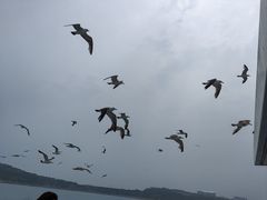 -海驴岛(荣成市)