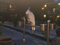 门面-那家山城(樱桃园店)