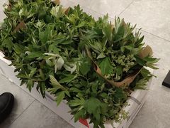 -上海第一八佰伴