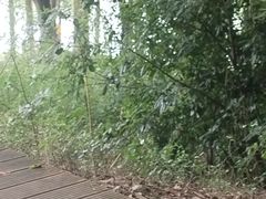 -新洲生态园
