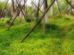 -回龙观体育文化公园