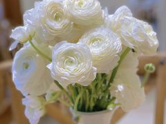 -AHAVA·Fang Baking Studio