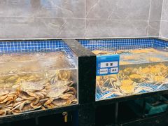 水产区-东海怡品海鲜豆捞(星街坊店)