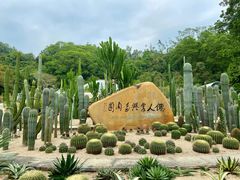 -深圳仙湖植物园