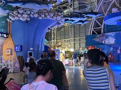 -烟台海昌鲸鲨海洋公园