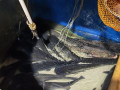 -满兴咱妈烀饼铁锅炖(兰州北街店)