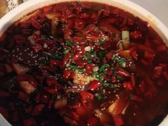牛市口毛血旺-院8里·小乐园家常味川菜(鹭洲里店)