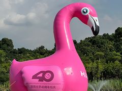 -深圳大学(丽湖校区)