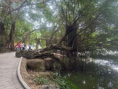 -珠海圆明新园
