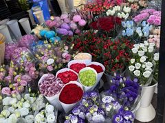 -三圣花乡旅游区