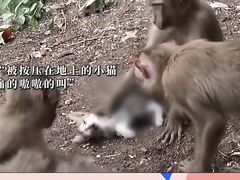 -昆明动物园