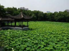-高子水居