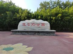 -莲花池公园