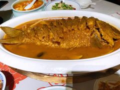 -阿五黄河大鲤鱼(纬三路店)