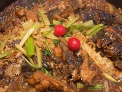 -老板恋上鱼(印象城店)