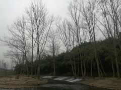 -川西竹海景区