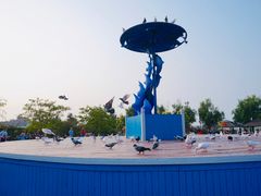 景点-鸽子窝公园