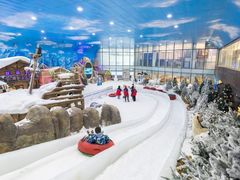 -世界之窗阿尔卑斯冰雪世界