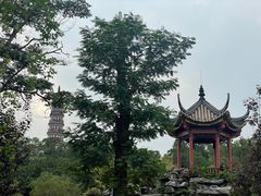 -顺峰山公园