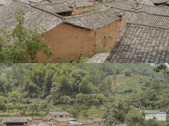 -杨家堂村