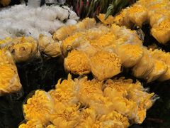 -秦美花卉(天朗·莱茵小城2期店)