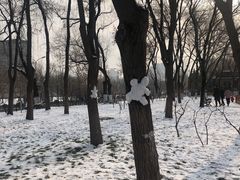-玲珑塔公园