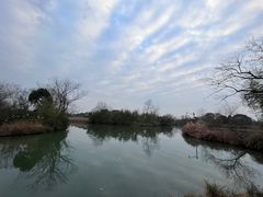 -西溪国家湿地公园