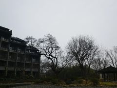 -无锡拈花湾波罗蜜多酒店(拈花湾景区旗舰店)