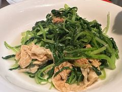 鸡毛菜炒腐衣-玫瑰厅上海菜(兴国路店)