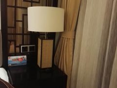 -河源万绿湖美思威尔顿酒店