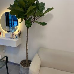 -美愈美肤MEIYU SKIN