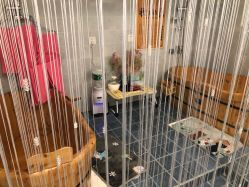-功夫肩颈先柚美容养生