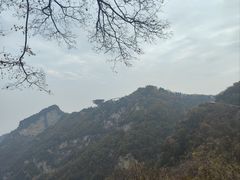 -少华山国家森林公园