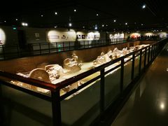 -洛阳周王城天子驾六博物馆