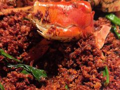 -喜记避风塘炒辣蟹(旗舰店)