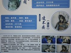 -青藏高原野生动物园