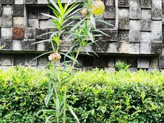 -广州神农草堂中医药博物馆