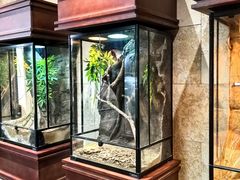 -帕帕拉兹宠物(亚洲旗舰店)