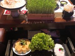 -左庭右院鲜牛肉火锅(新梅广场店)