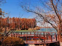 -苏州太湖国家湿地公园