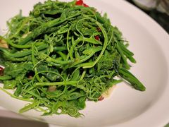 清炒瓜苗-南堂小馆·川菜馆(德商国际店)