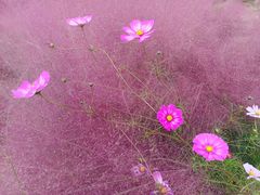 -汉长安城未央宫国家考古遗址公园