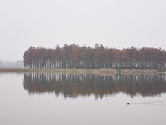 -东湖落雁景区